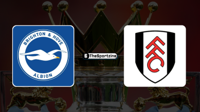 Brighton vs Fulham